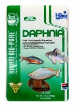 Hikari Frozen Daphnia 3.5oz Cubes