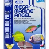 Hikari Frozen Mega Marine Angel 3.5oz Cubes