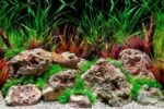 SeaView Background Aqua Wild/Slate 12in