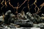 SeaView Background Seascape/Natural Mystic 18in