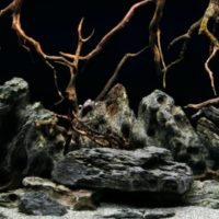 SeaView Background Seascape/Natural Mystic 18in