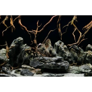 SeaView Background Seascape/Natural Mystic 18in