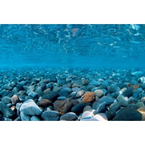 SeaView Background River Rock/Sea of Green 24in