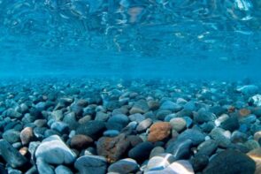 SeaView Background River Rock/Sea of Green 18in