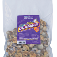 Ocean Nutrition Frozen Clams on the Half Shell 32oz