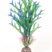 AquaTop Staghorn Plant Green/Blue