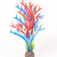 AquaTop Staghorn Plant Red/Blue
