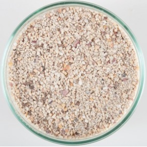 CaribSea Arag-Alive Fiji Pink Sand 10lb