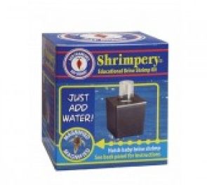 San Francisco Bay Shrimpery