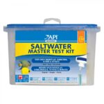 API Salt Master Test Kit