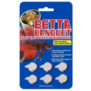 Zoomed Betta Banquet Feeding Blocks