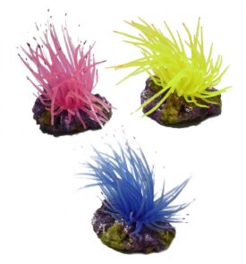 Hikari Deco Anemone on Rock