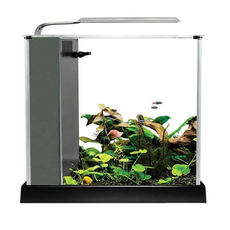 Fluval Spec 2.6 gallon Black - Image 3