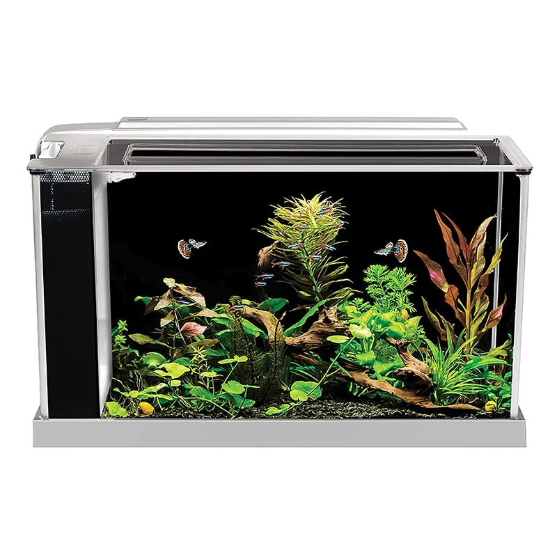 Fluval Spec 5 Gallon - Image 2