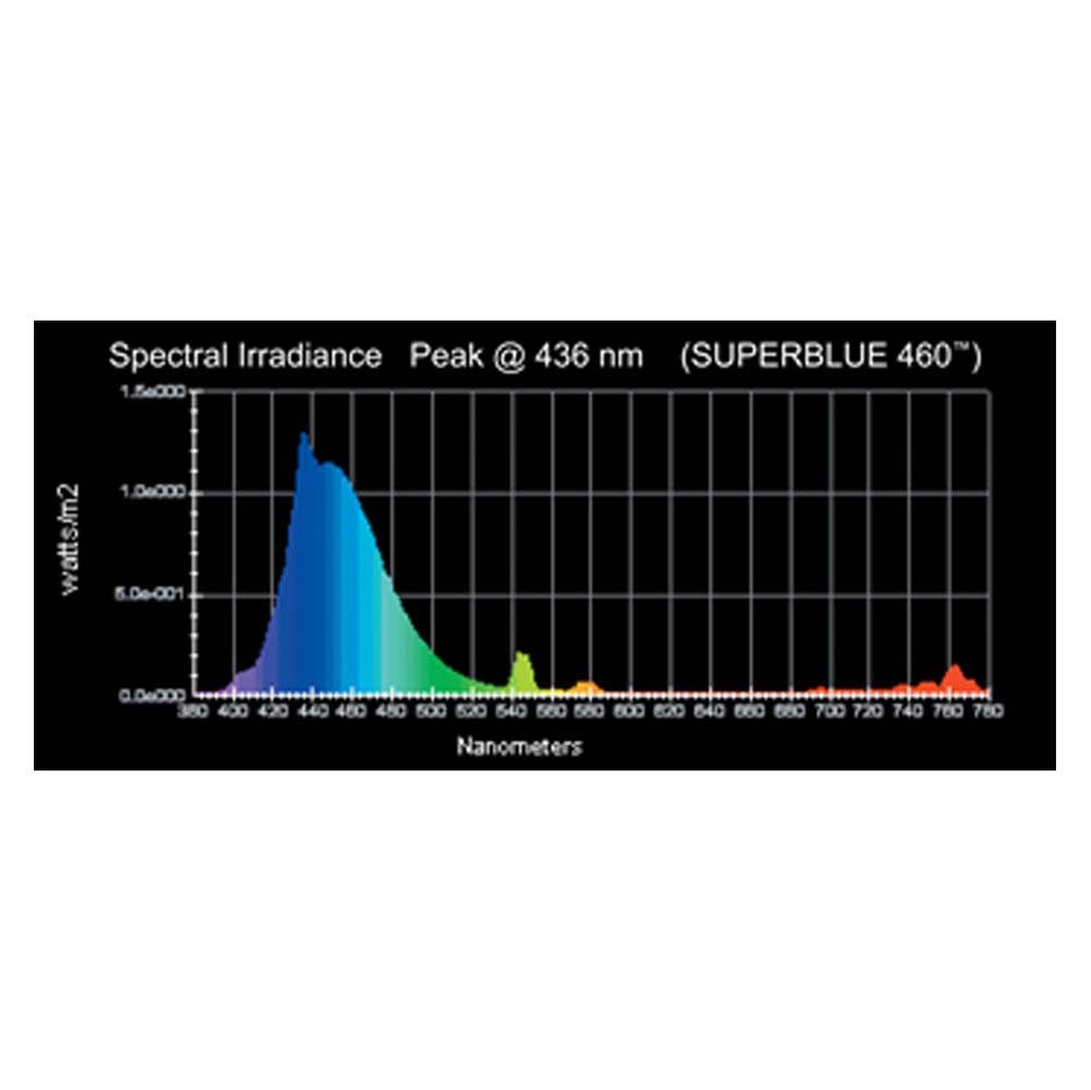 Wave Point Blue Wave 24w HO T5 Lamp - Image 2