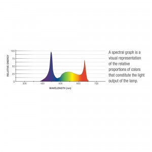 Aqueon LED Aquarium Lamp Colormax 24in - Image 2