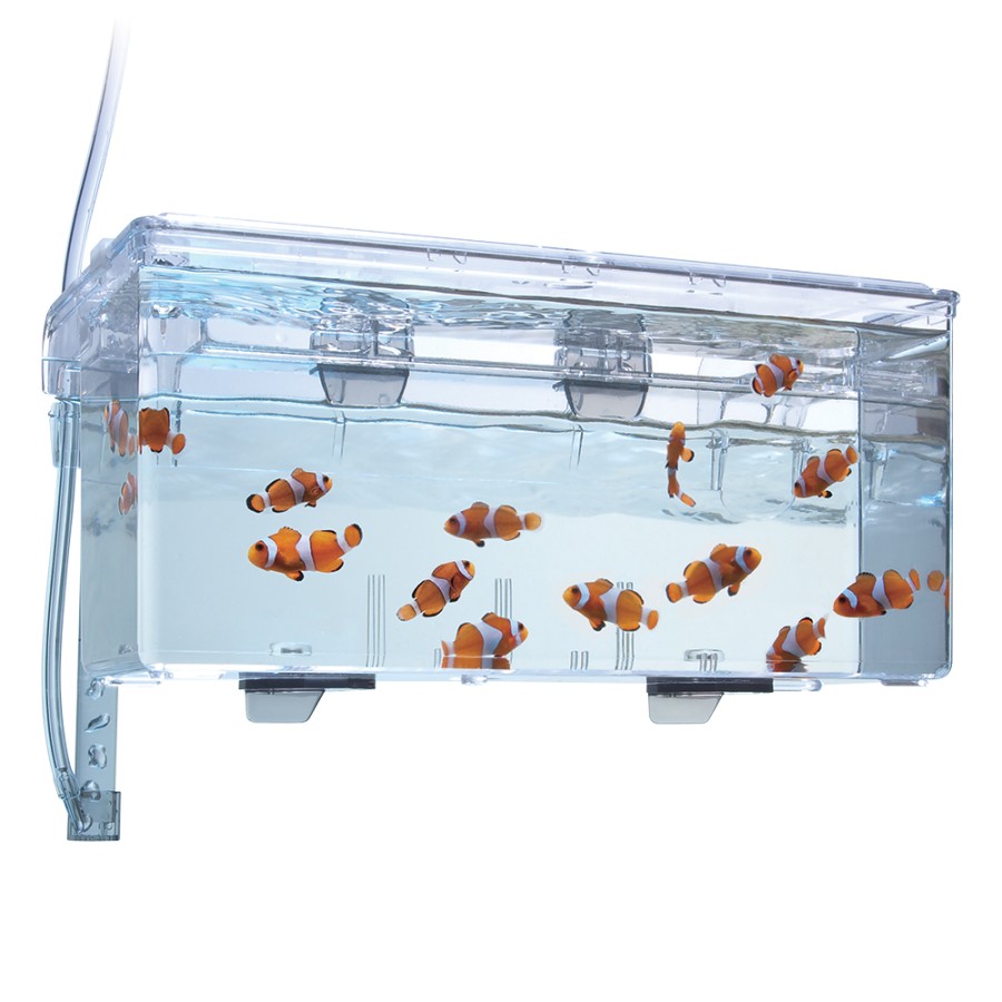 Fluval Hang-On Breeding Box Lg - Image 3