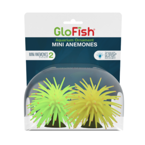 Tetra Glofish Mini Anemone 2pk
