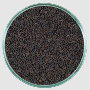 Caribsea Midnight River 5lb