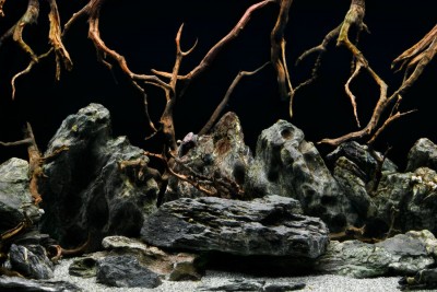 SeaView Background Seascape/Natural Mystic 12in