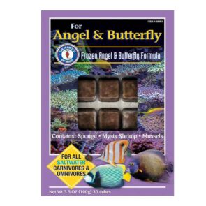 San Fransisco Bay Frozen Angel Butterfly Formula Cubes 3.5oz