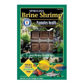 San Fransisco Bay Frozen Spirulina Brine Cubes 3.5oz