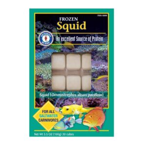 San Fransisco Bay Frozen Squid 3.5oz