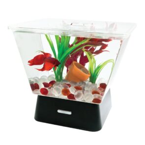 Tetra LED Trapazoid Betta Tank Kit