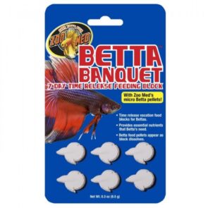 Zoomed Betta Banquet Feeding Blocks