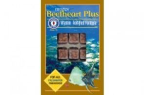 San Francisco Bay Frozen Beefheart Plus 3.5oz Cubes