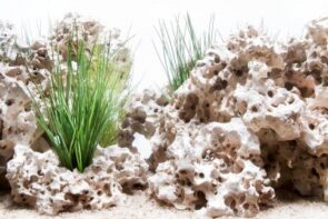 SeaView Background Wonderscape/CloudStone 12in