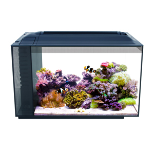 Fluval Sea Evo 13.5 Gallon Marine Aquarium Kit - Image 2