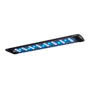 Fluval Sea Evo 13.5 Gallon Marine Aquarium Kit - Image 4