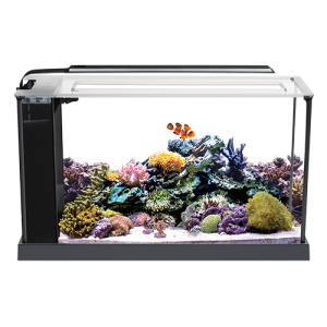 Fluval Sea Evo 5 Gallon Marine Aquarium Kit - Image 2
