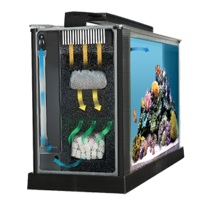 Fluval Sea Evo 5 Gallon Marine Aquarium Kit - Image 3