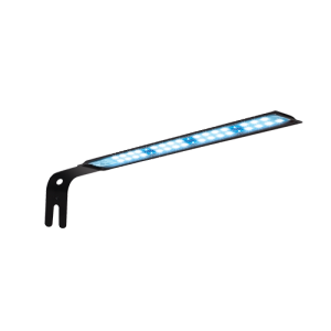 Fluval Sea Evo 5 Gallon Marine Aquarium Kit - Image 4