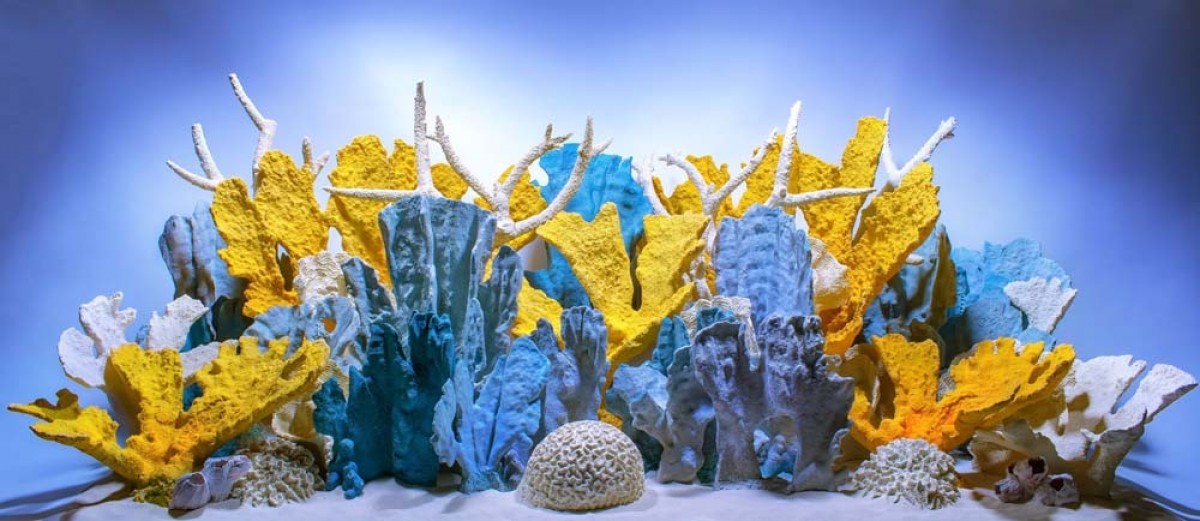 SeaView Background Coral Bliss/Luscia Reef 12in - Image 2