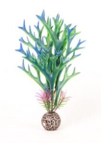 AquaTop Staghorn Plant Green/Blue