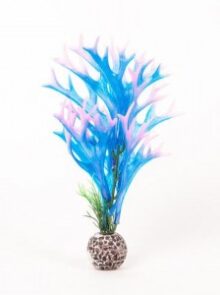 AquaTop Staghorn Plant Pink/Blue