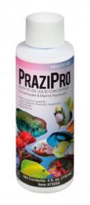 Hikari PraziPro 4oz